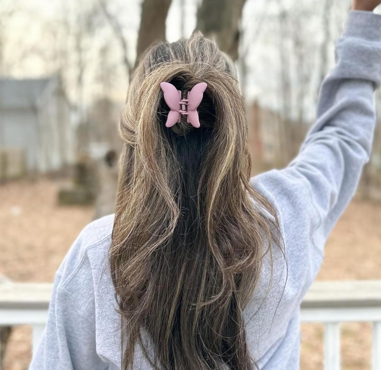butterfly hair clip